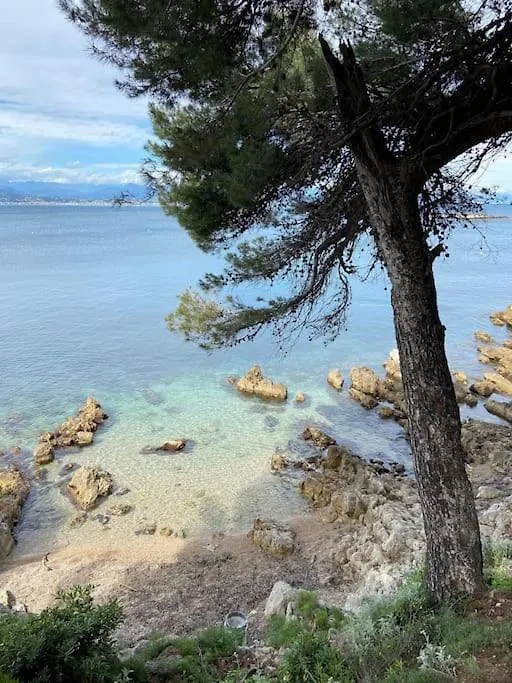 Appartement Antibes Terrasse En Front De Mer